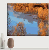 Painting by numbers lake from above